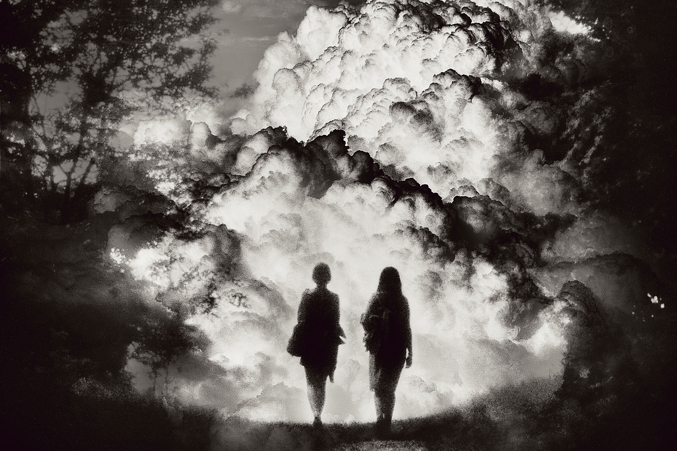 photo by alison scarpulla