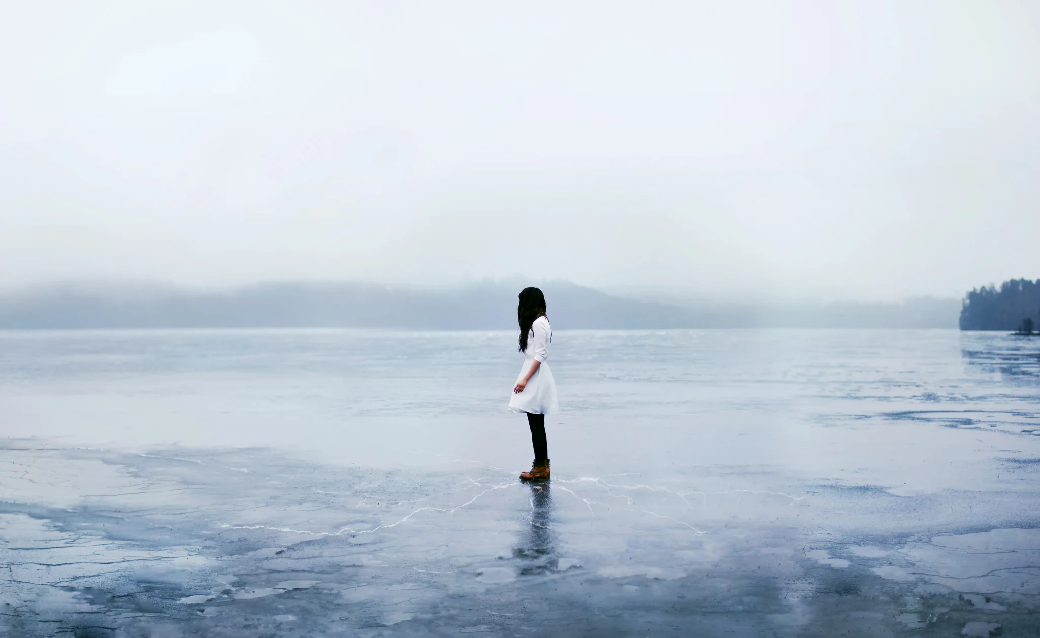 photo by Xin Li