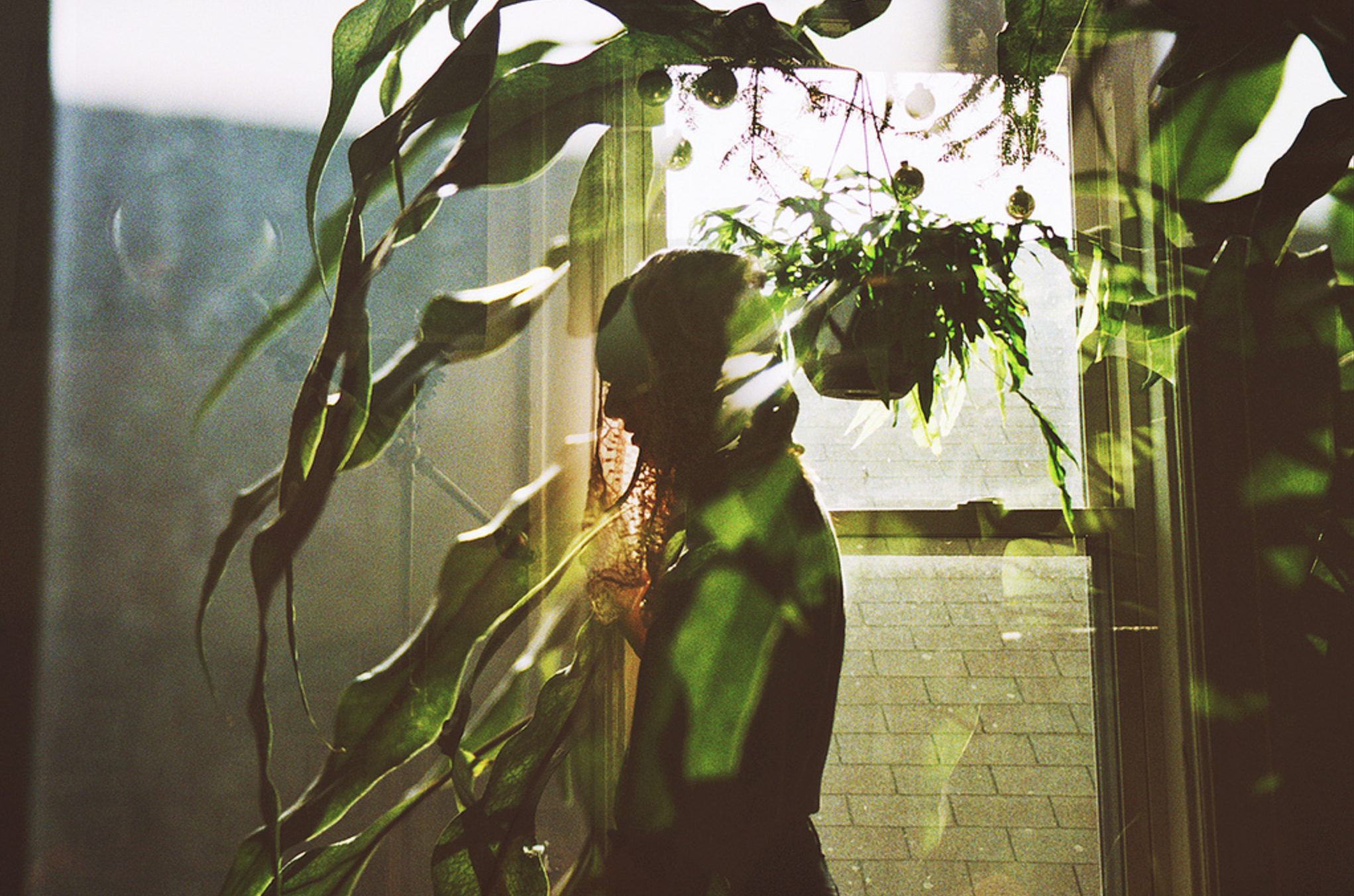 photo by Alison Scarpulla