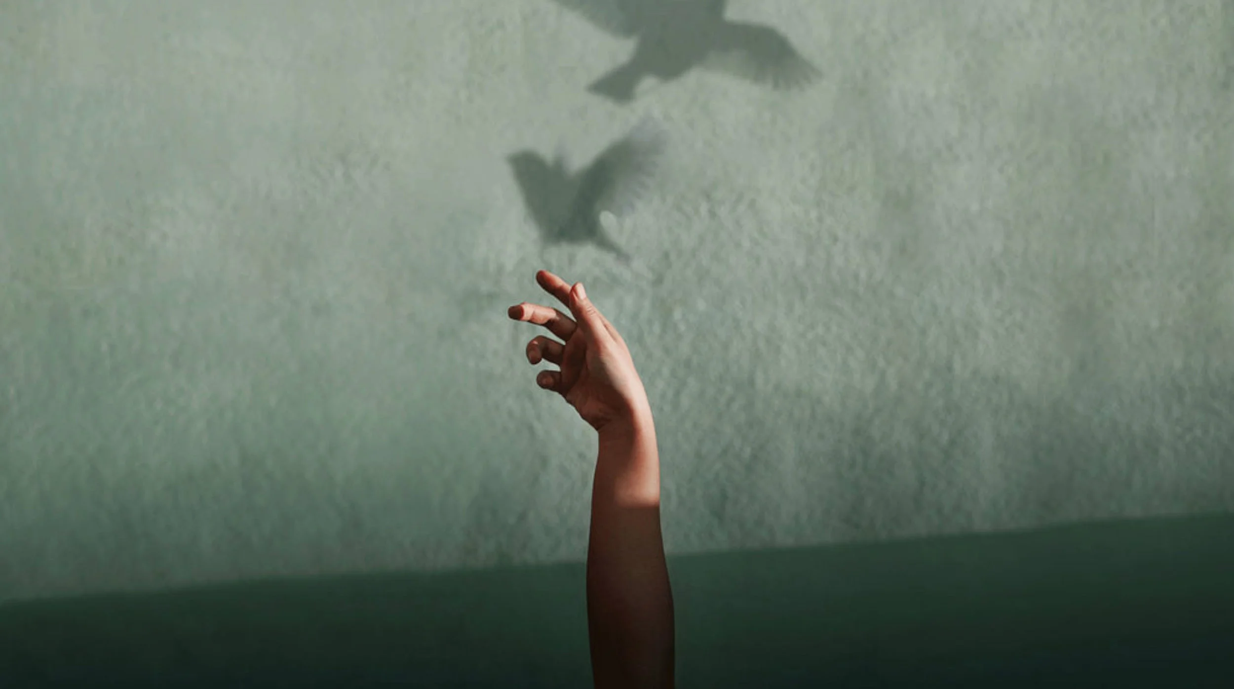 photo by Katrina Y