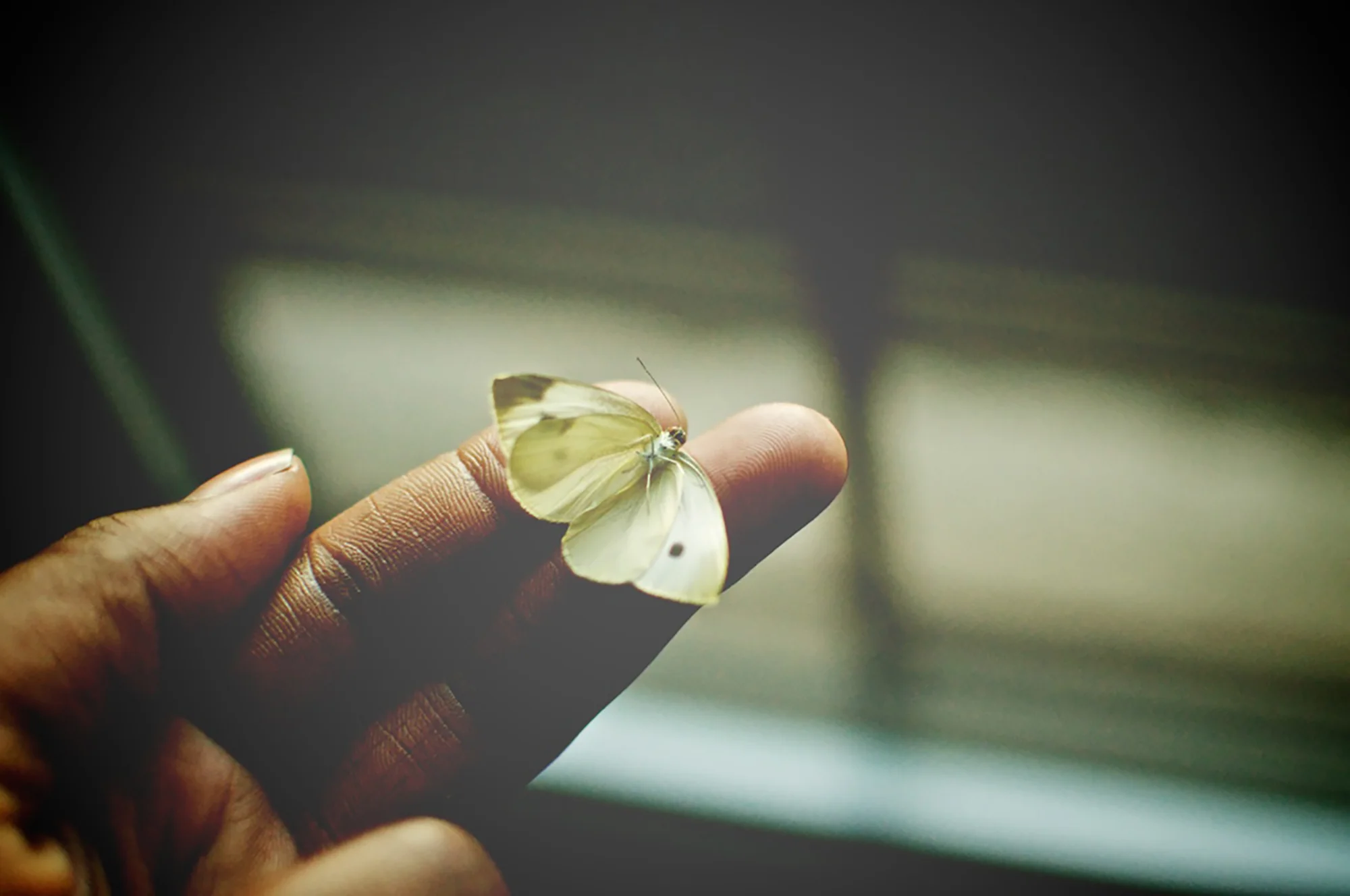 photo by Camille
