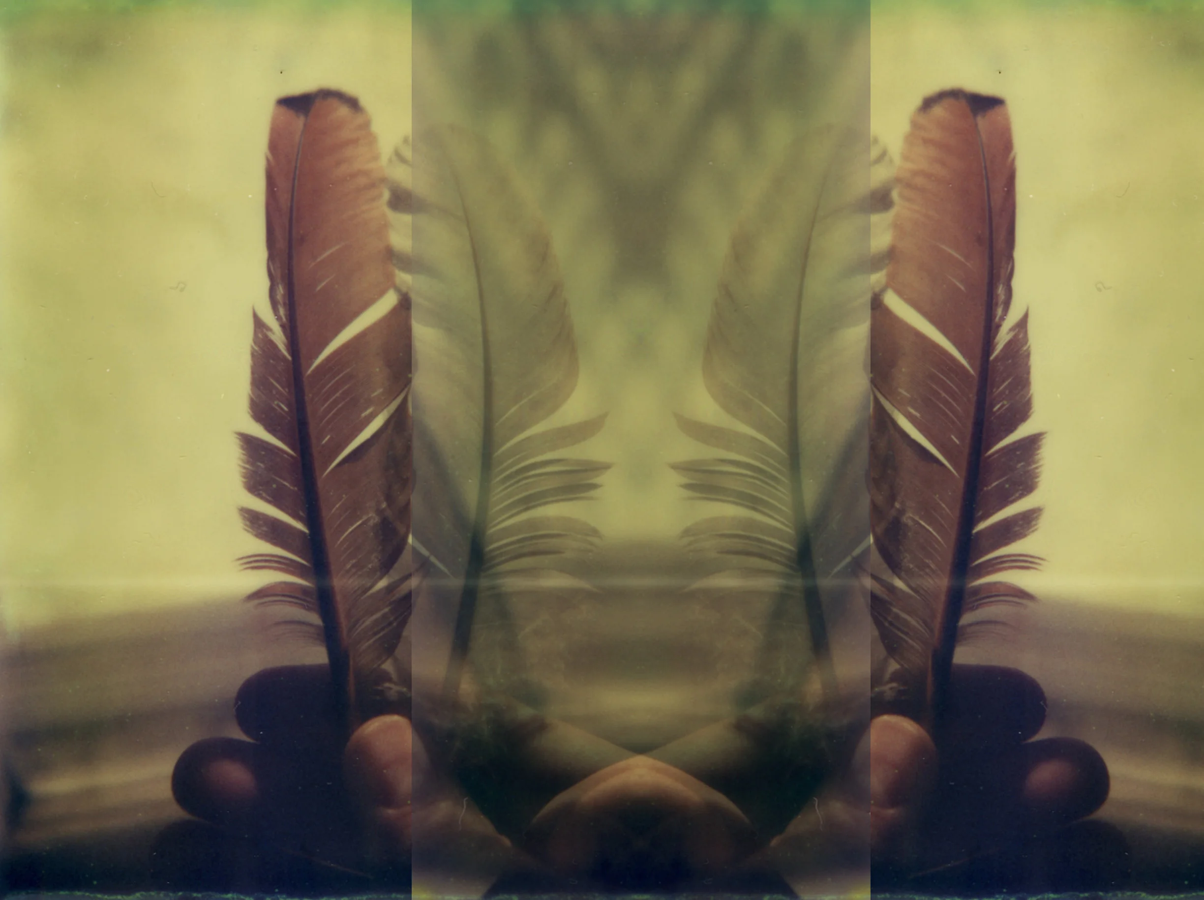 photo by dyager .