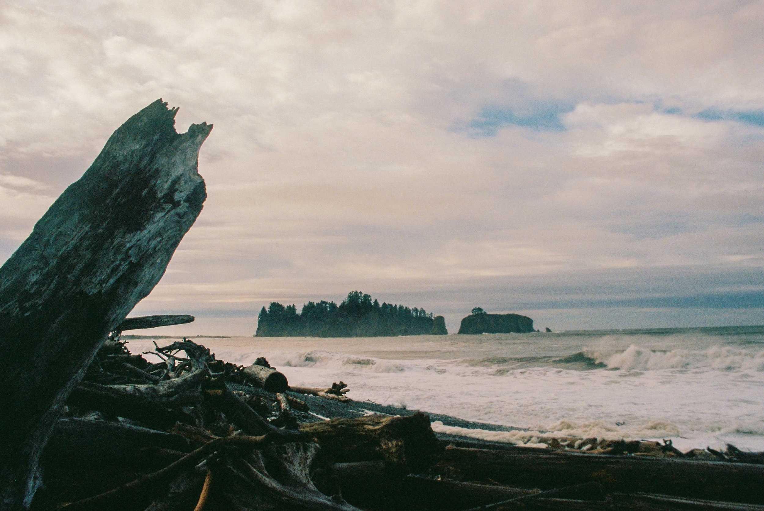 Driftwood piled up at the edge of the ocean on a rocky beach. The waves are small but evidently powerful, with whitecaps. Two treed islands sit on the horizon. The sky is somewhat cloudy and turning dusky.