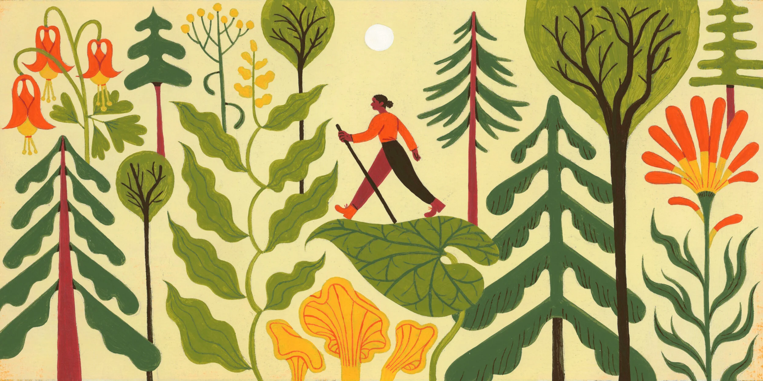Ecotherapy.jpg