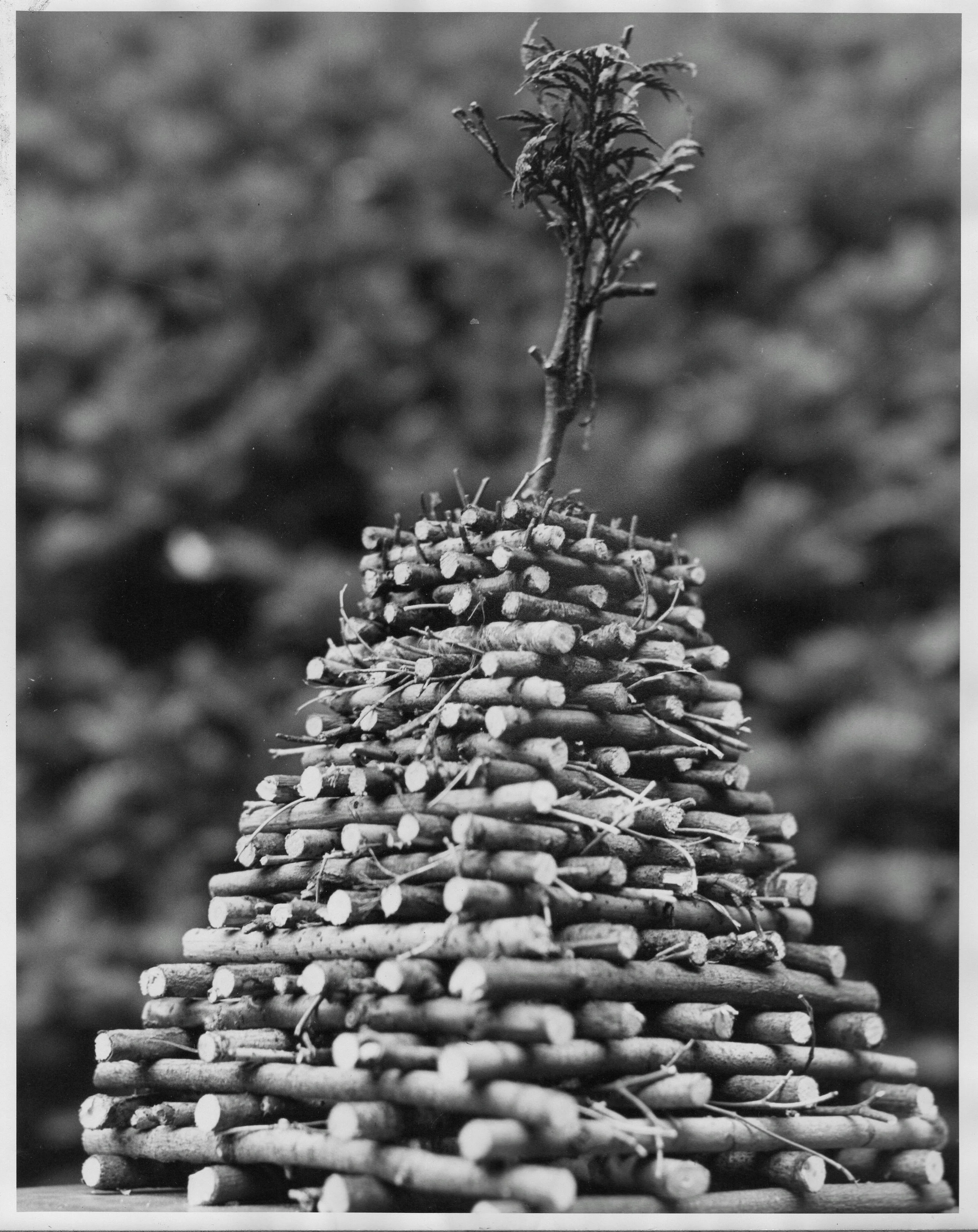 Replica of Summit Beacon cropped.JPG