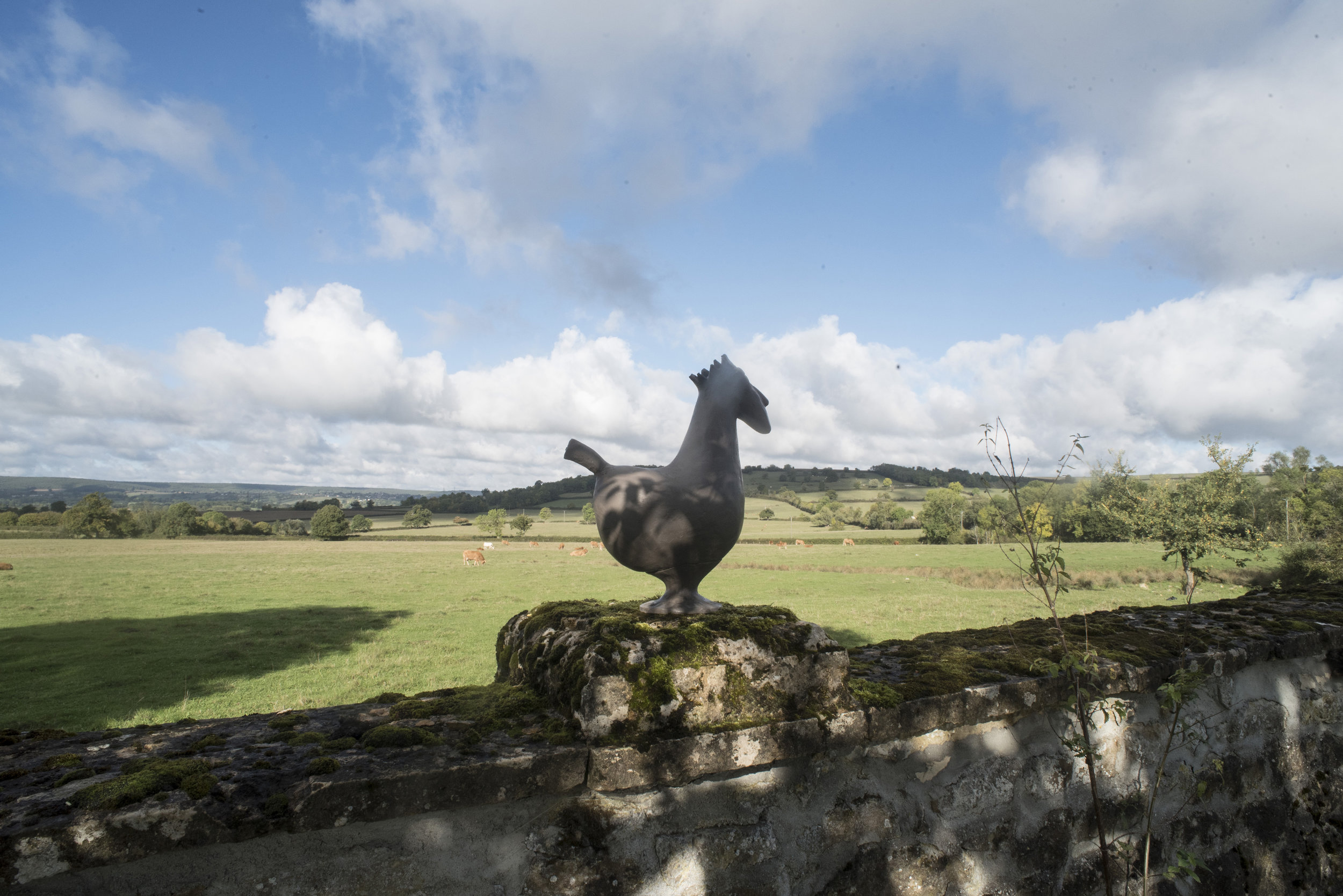 "Coq Celte sur le mur du verger"