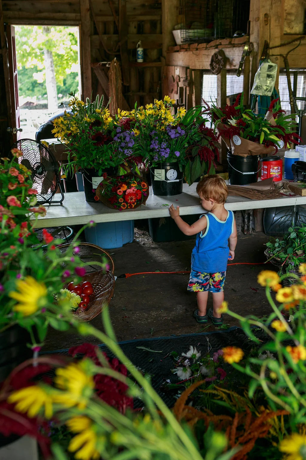 FarmCuts-058.jpg