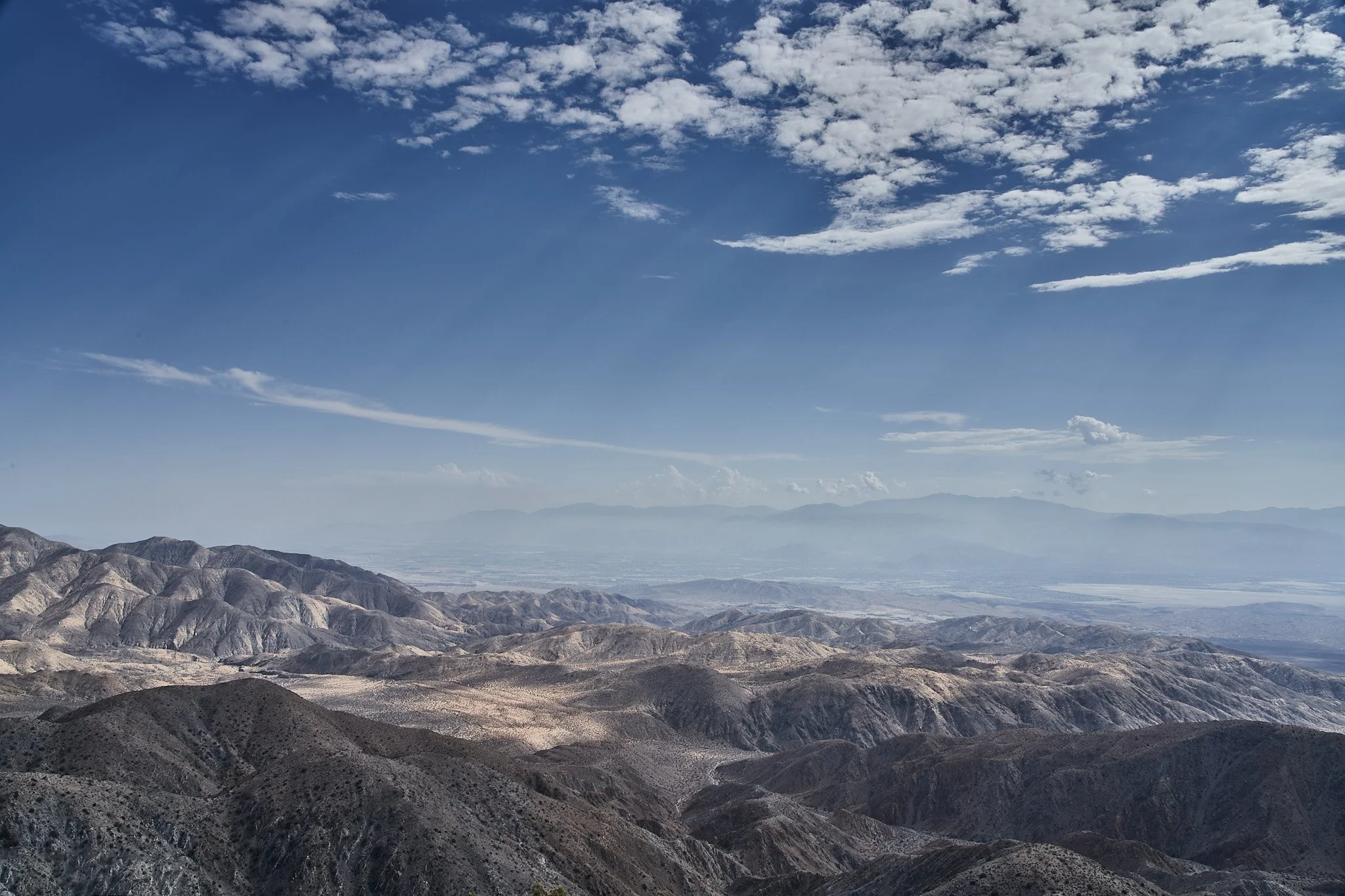 Joshua Tree_DSC1338.jpg