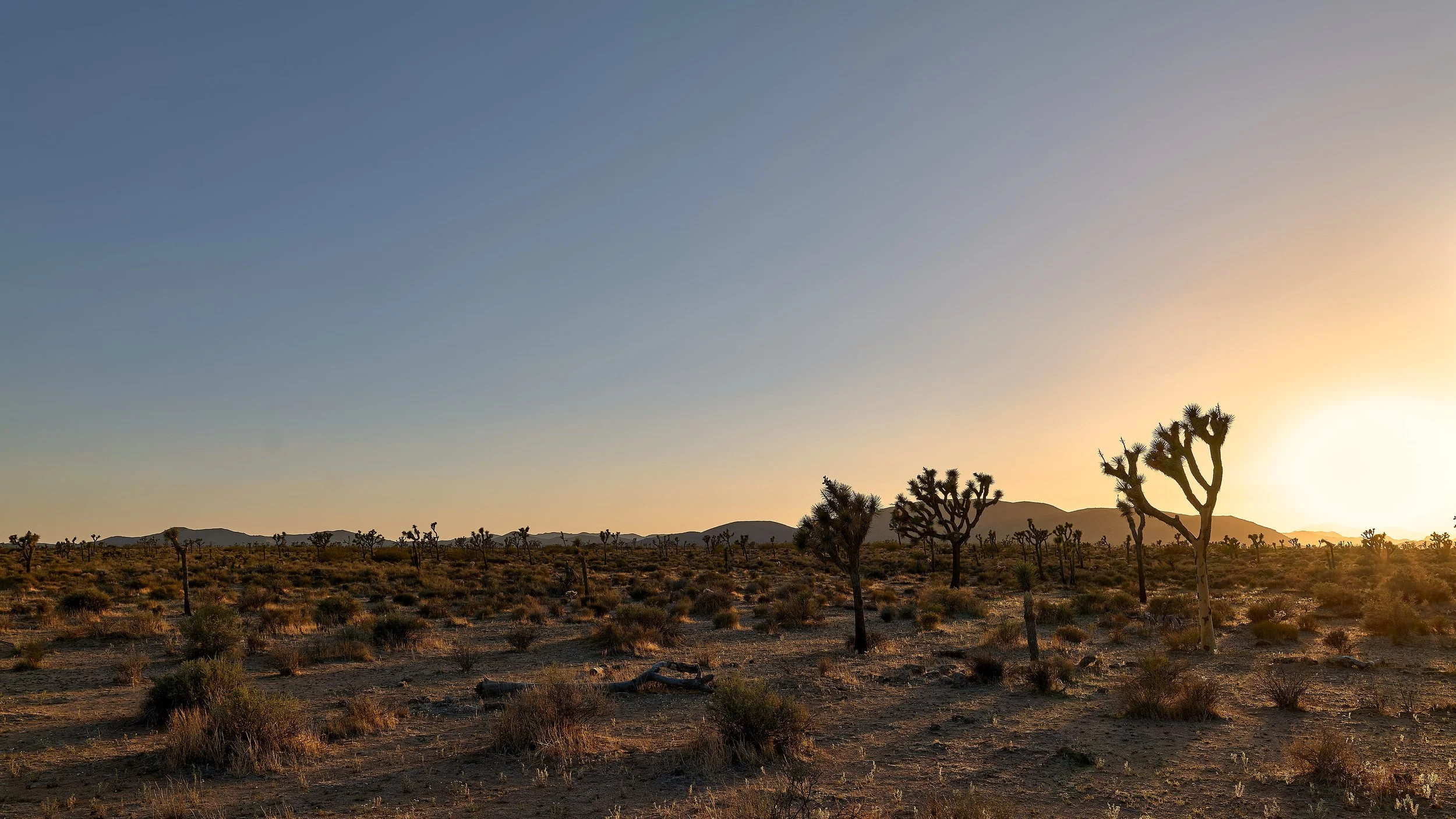 ©George Rutgers:JANGEORGe-L1010244_HDR-Sep 04 2024.jpg