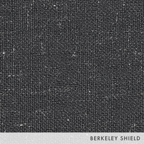 berkeley_shield.jpg