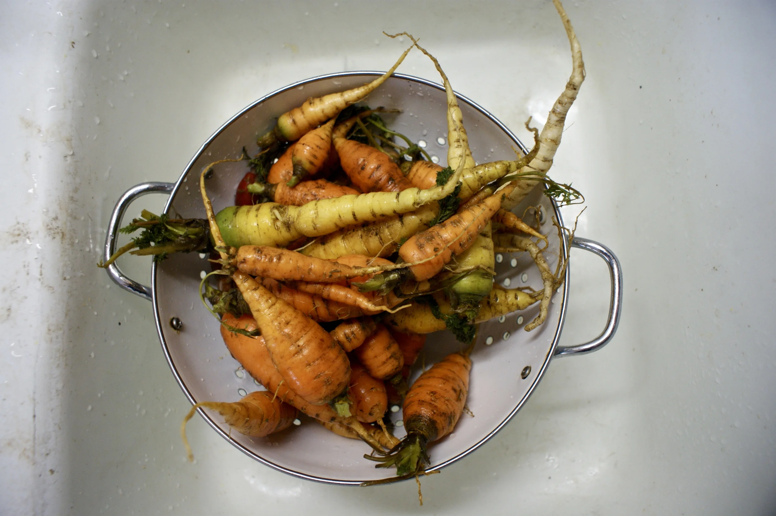 From Backyard to Table: Finishing What Another Started