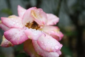IMG_7672.jpg