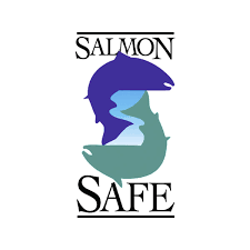 salmon safe.png