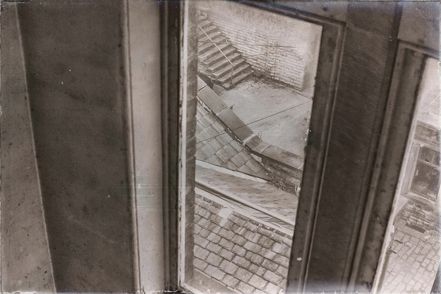 Plate 6