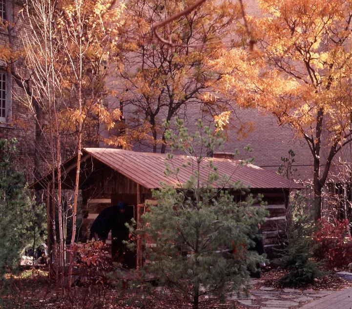 Liz Magor, Messenger , 1996. Photo by W.N. Greer
