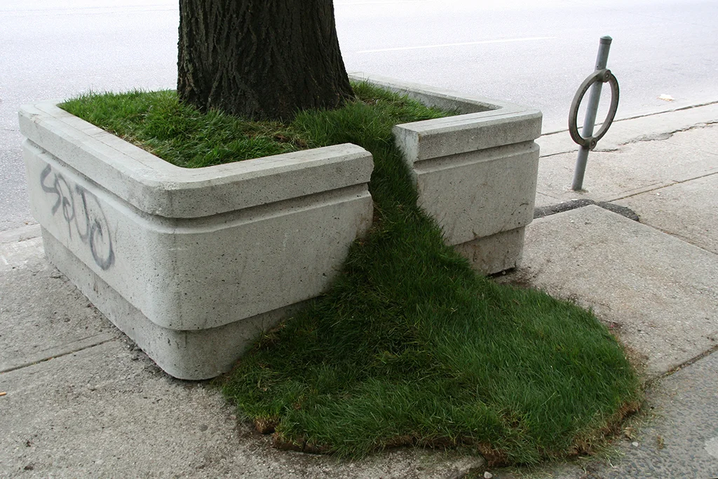 Outside the Planter Boxes – Grass Spill , 2011. Sean Martindale artist. Photo by Sean Martindale.
