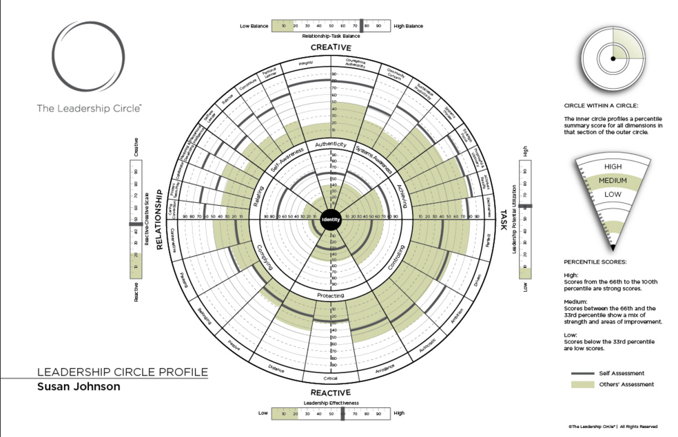 An example Leadership Circle Profile
