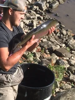 September 2, 2017