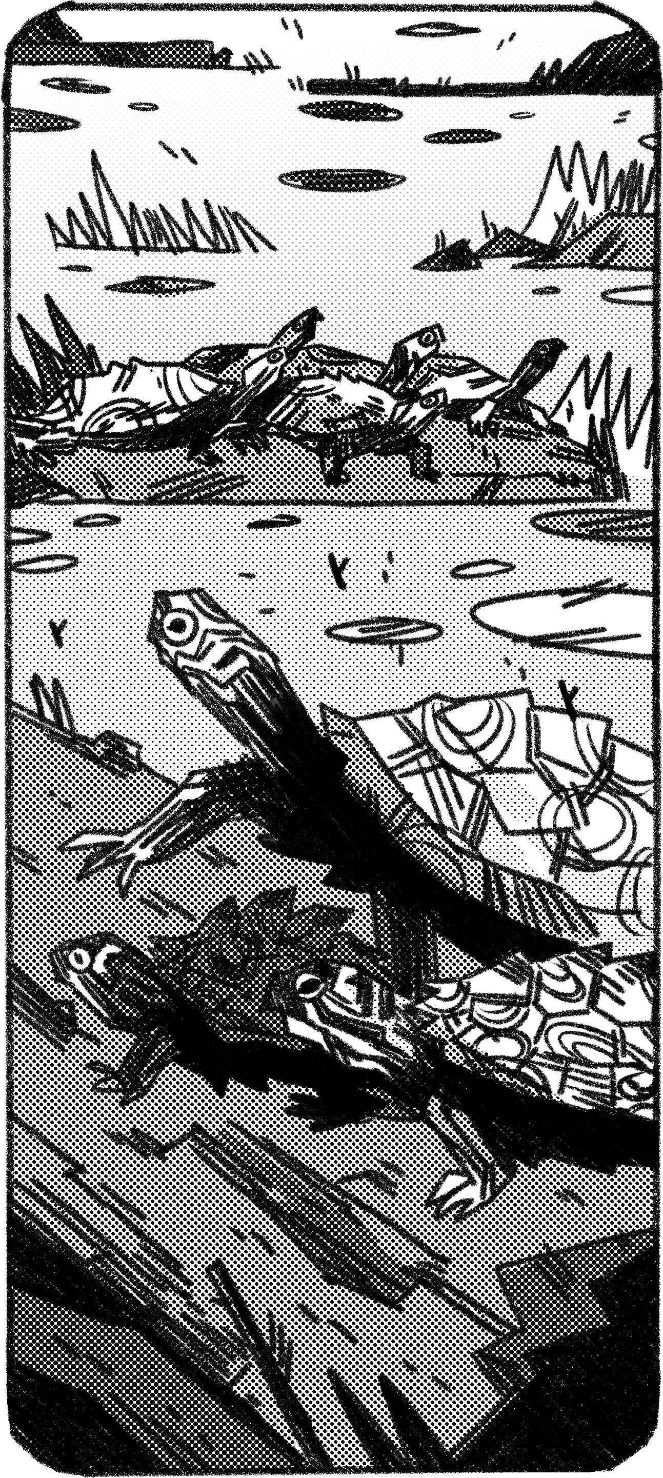 MONSTER_13_TURTLE.jpg