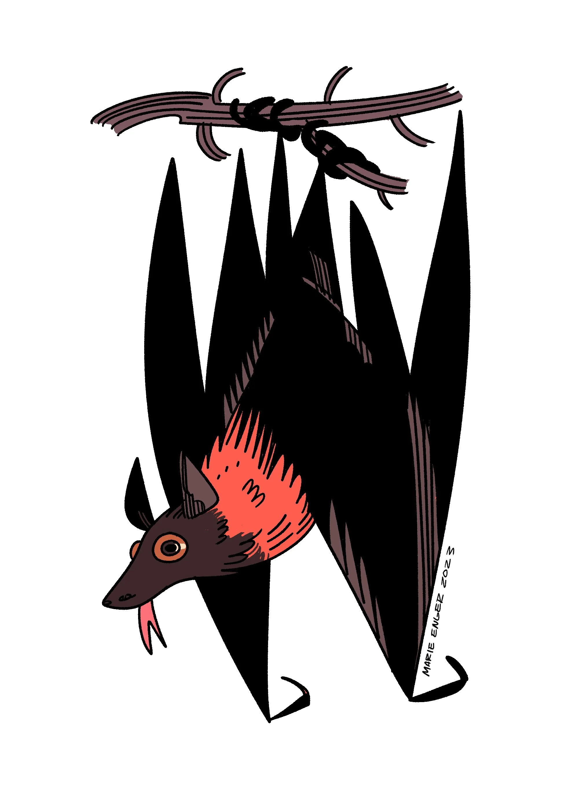 01_GrayFlyingFox.jpg