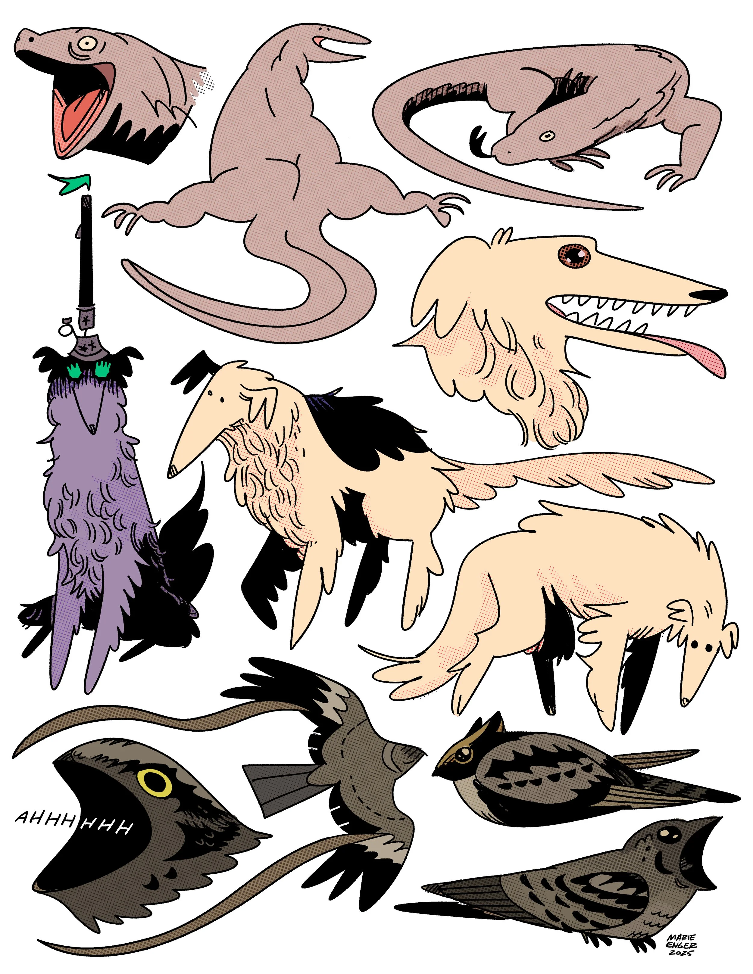 Nightjars.jpg
