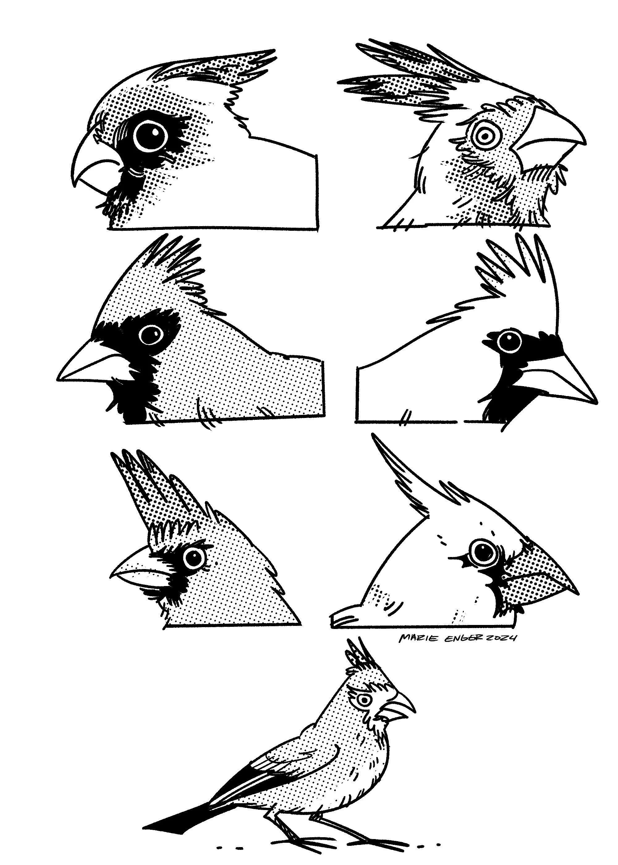 Cardinals.jpg