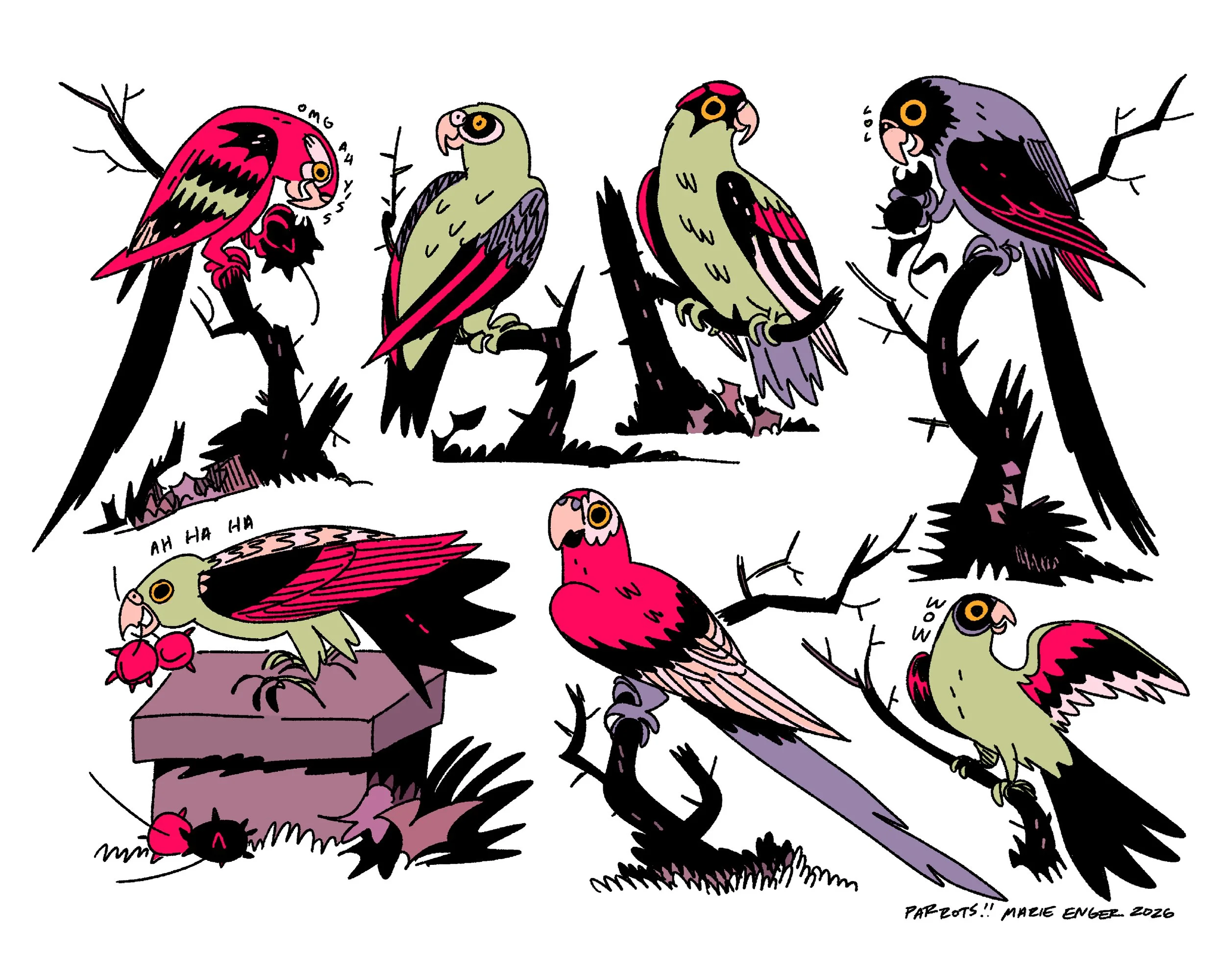 Parrots_8x10.jpg