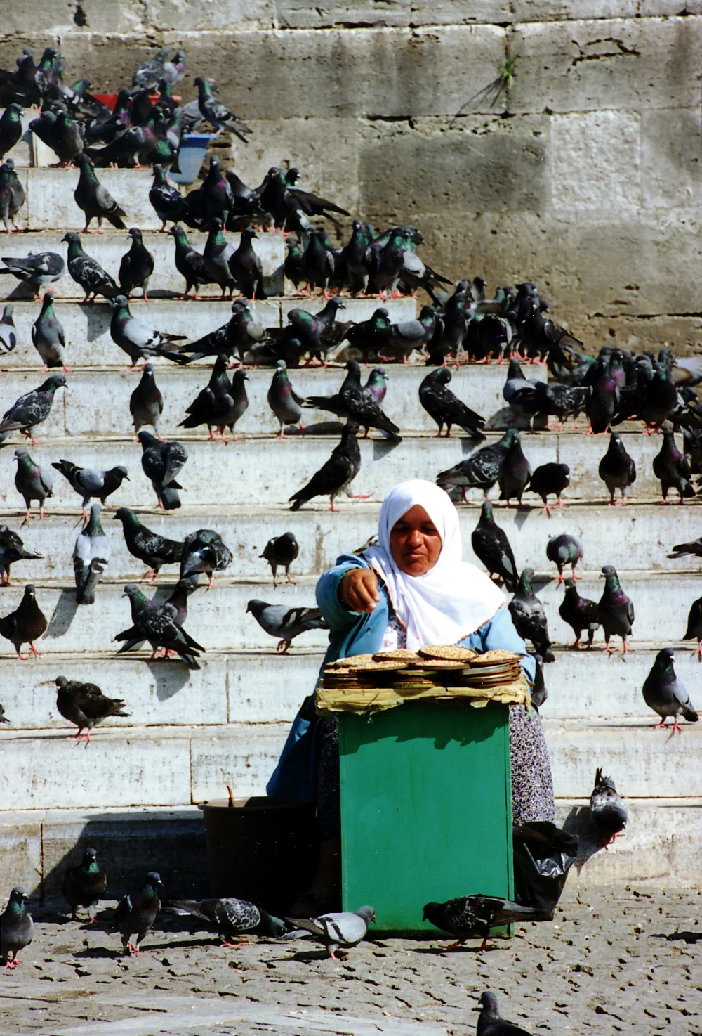 Travel 17 1000 px.jpg