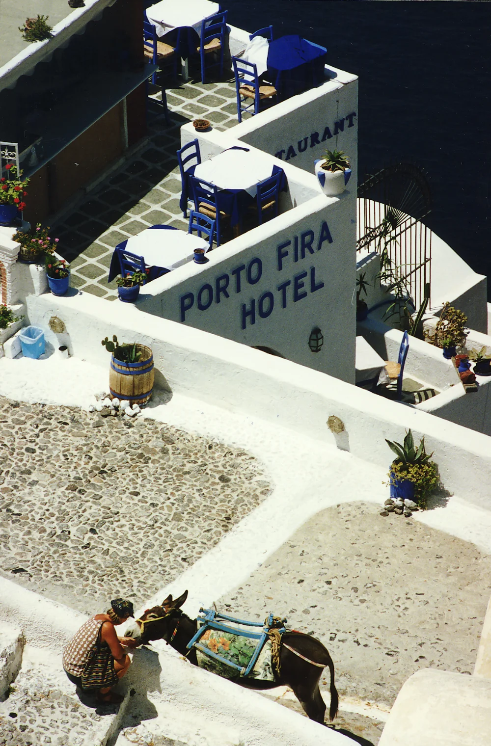 Travel 21 1000px.jpg