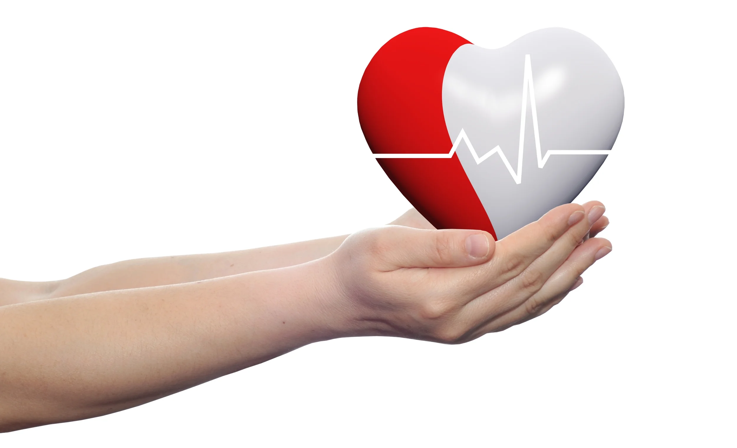 Red and white heart in hands.jpg