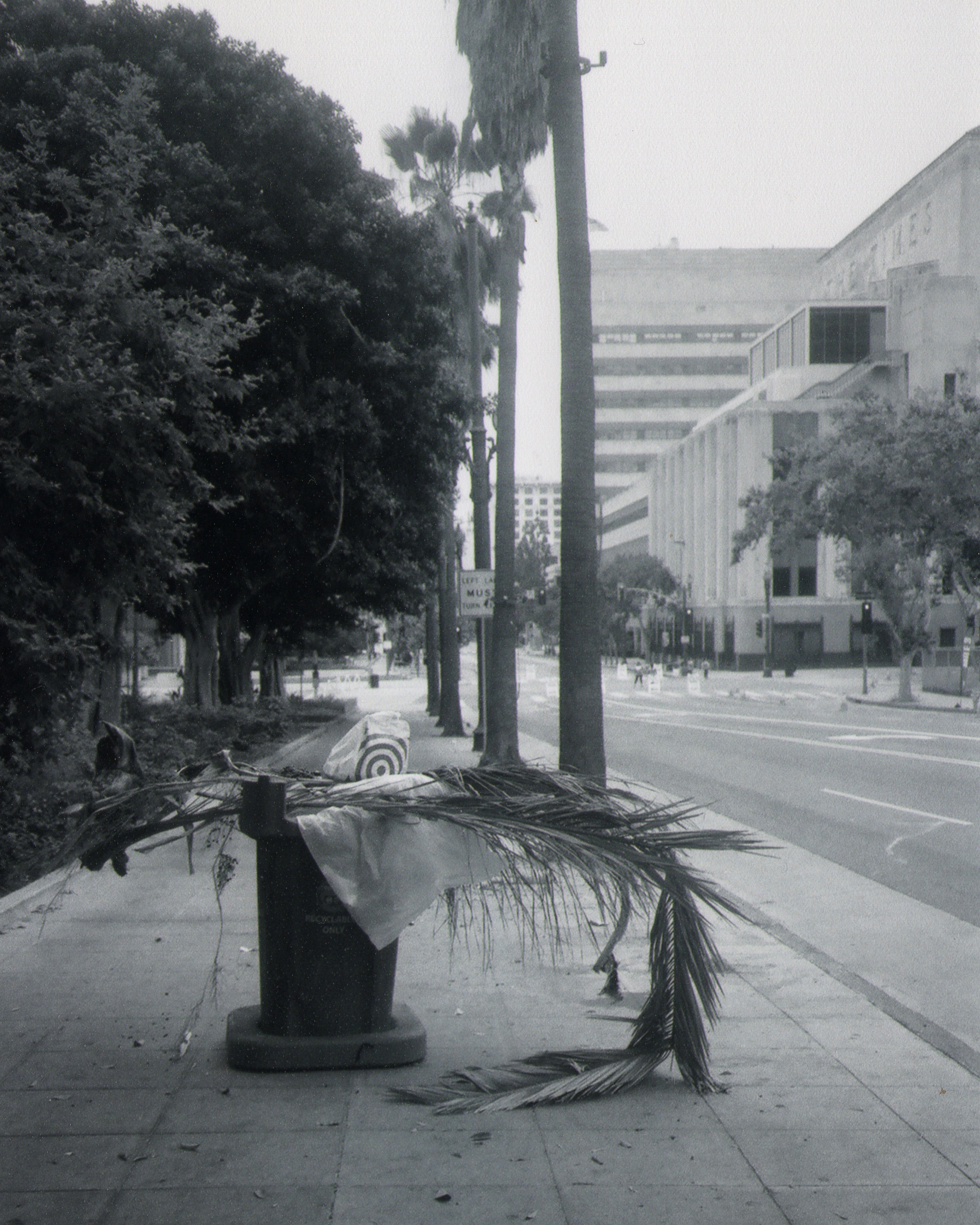 Trash Day in LA