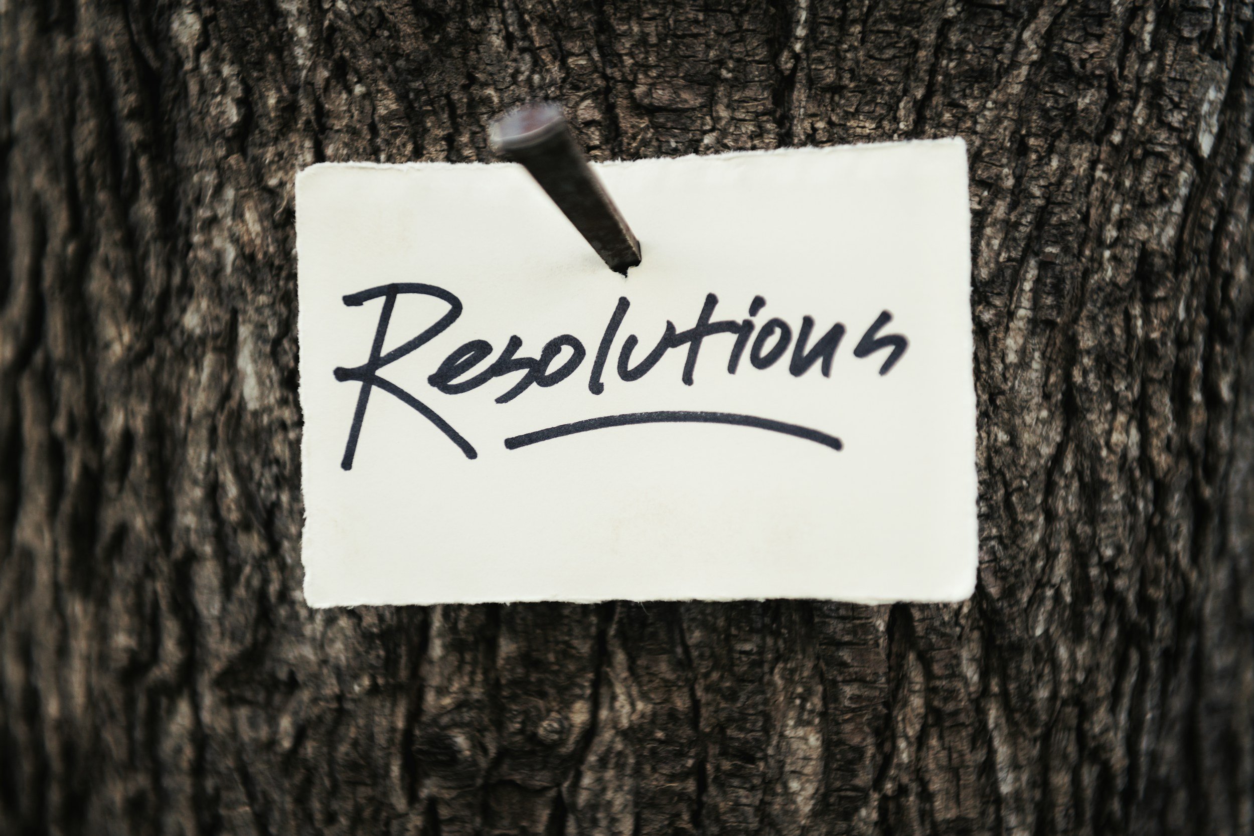 December Roundtable