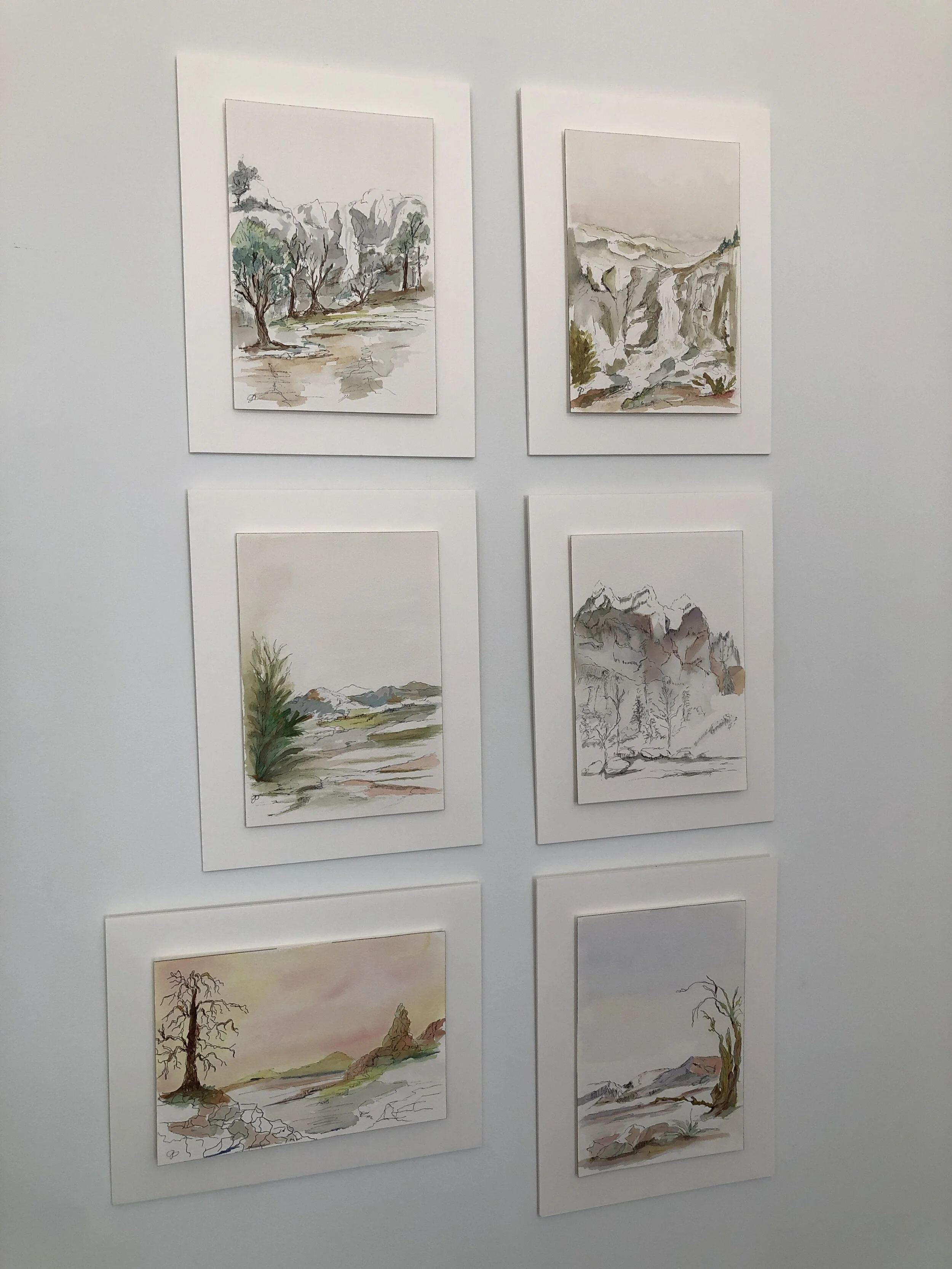 Anita Gomez-Ronderos