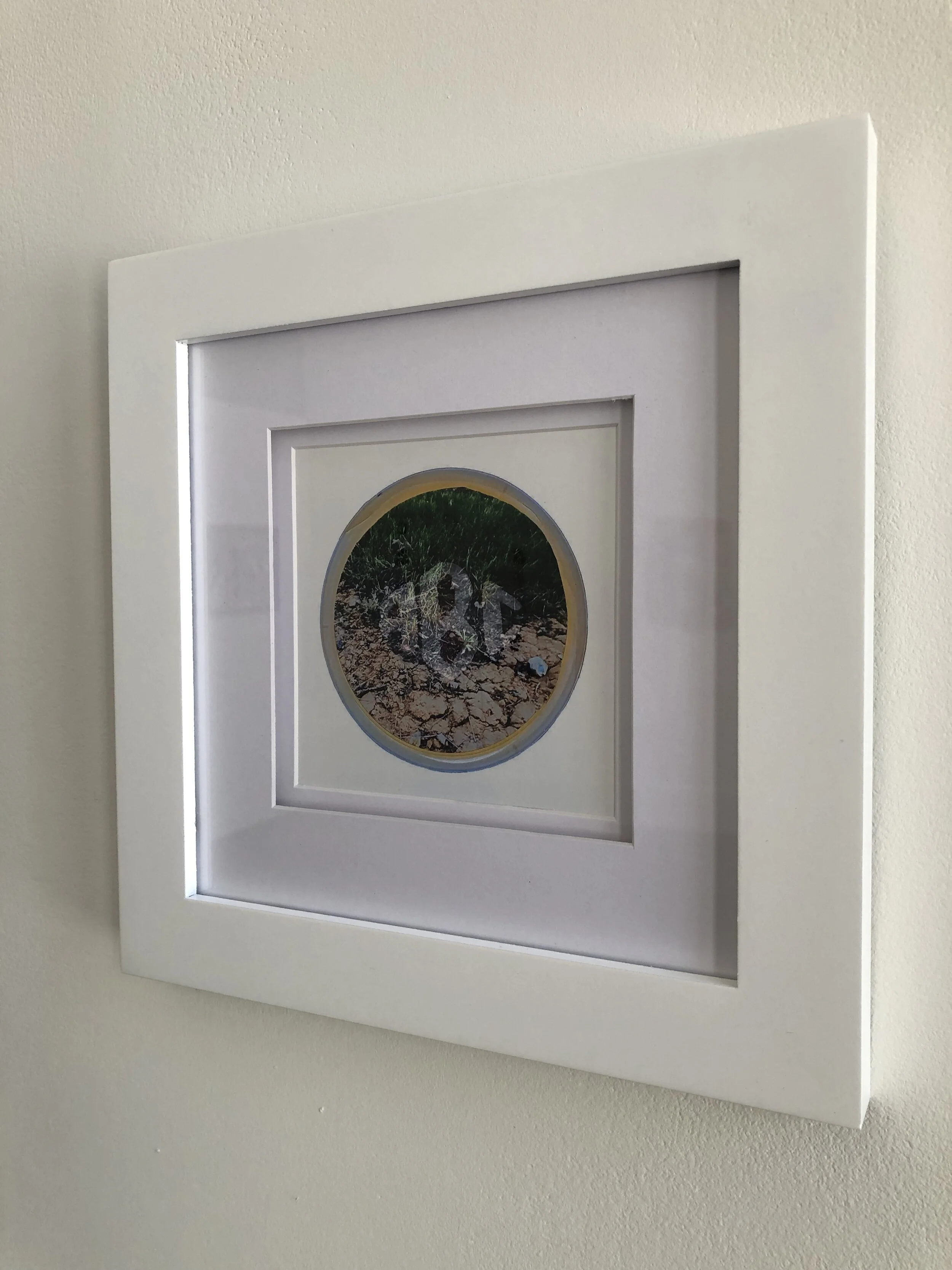 Sarah Adkins-Jablonsky