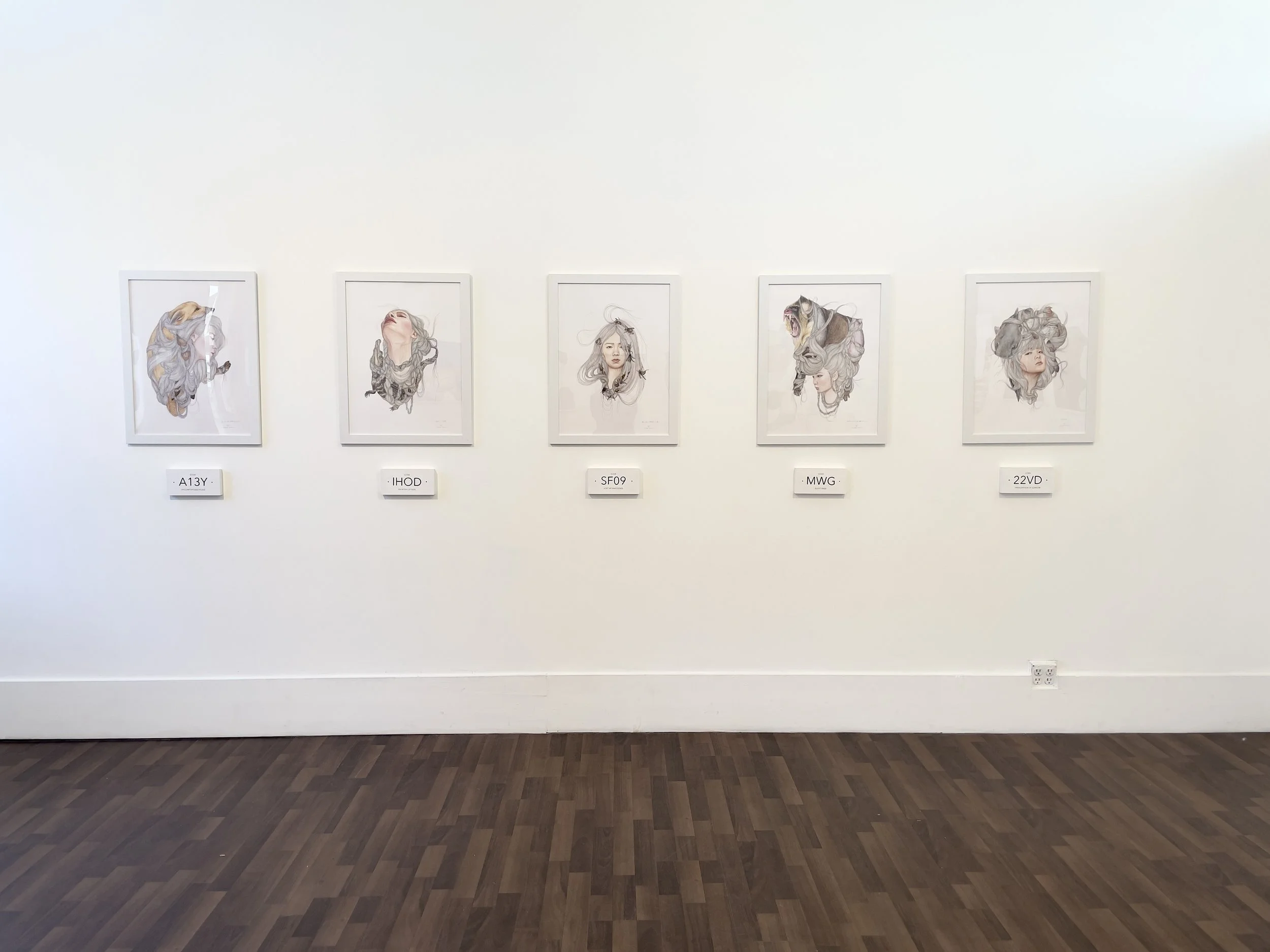 CHIHARU ROACH