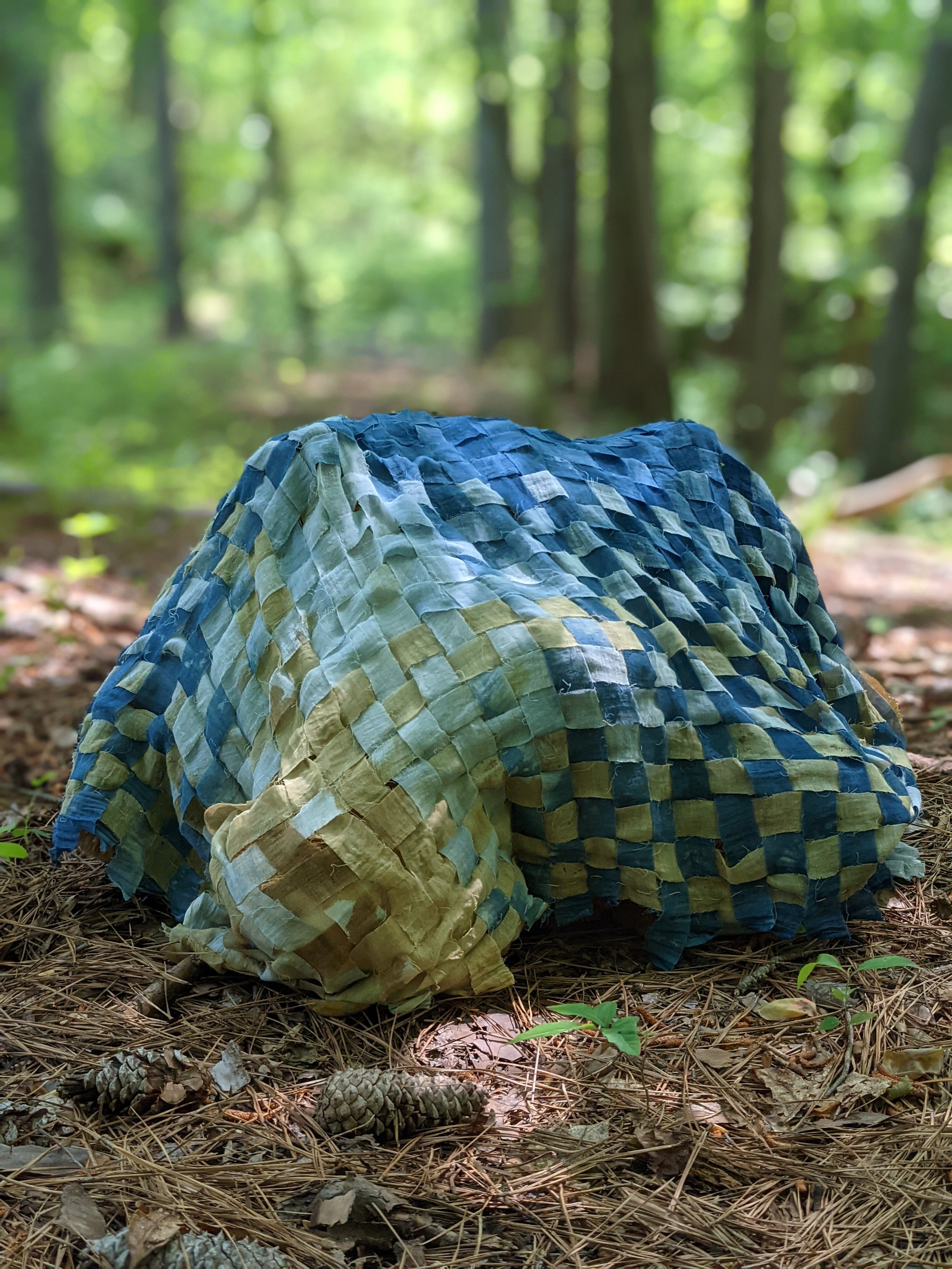 in the forest #2.jpg