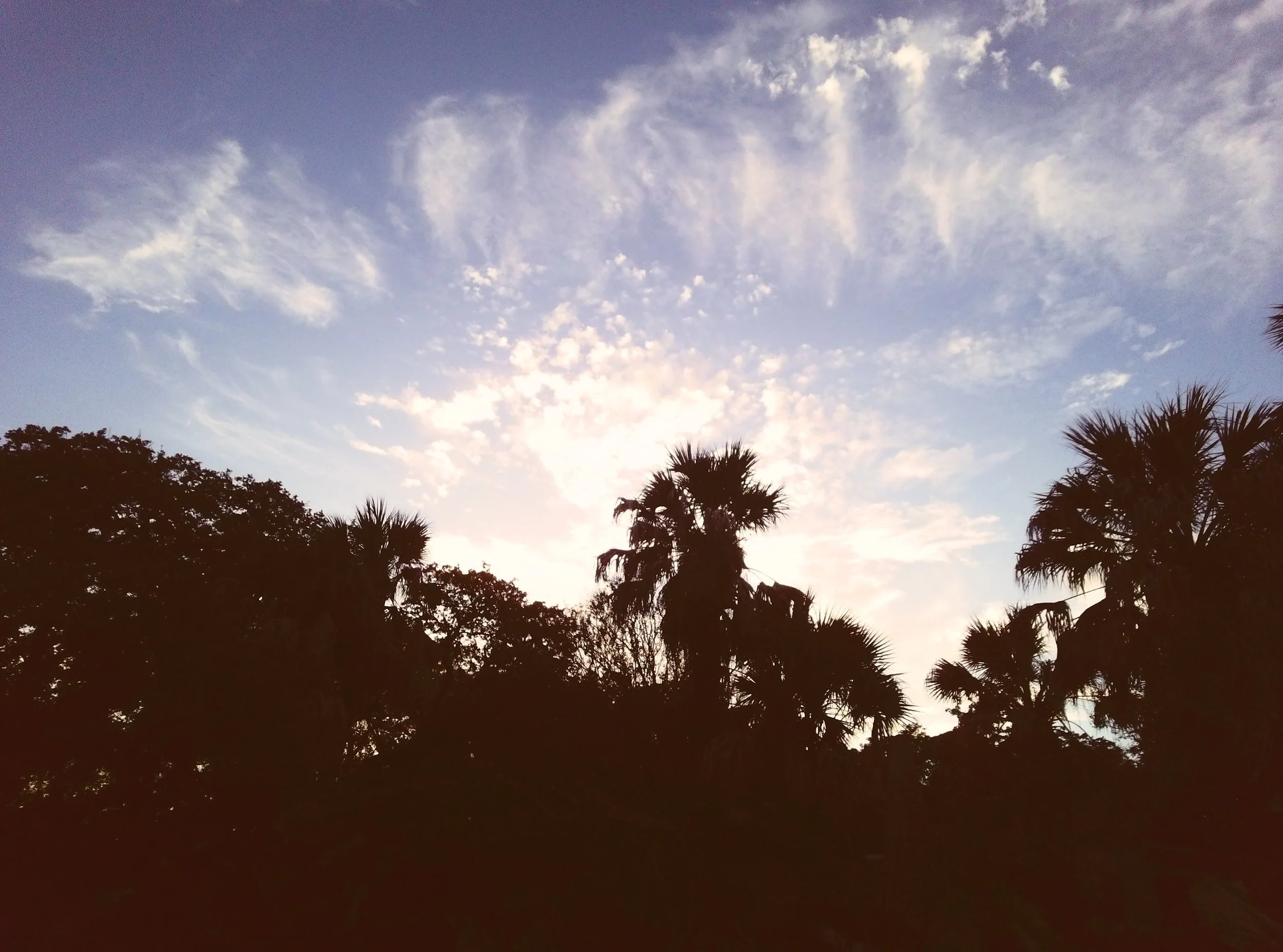 PST00133 (1).JPG
