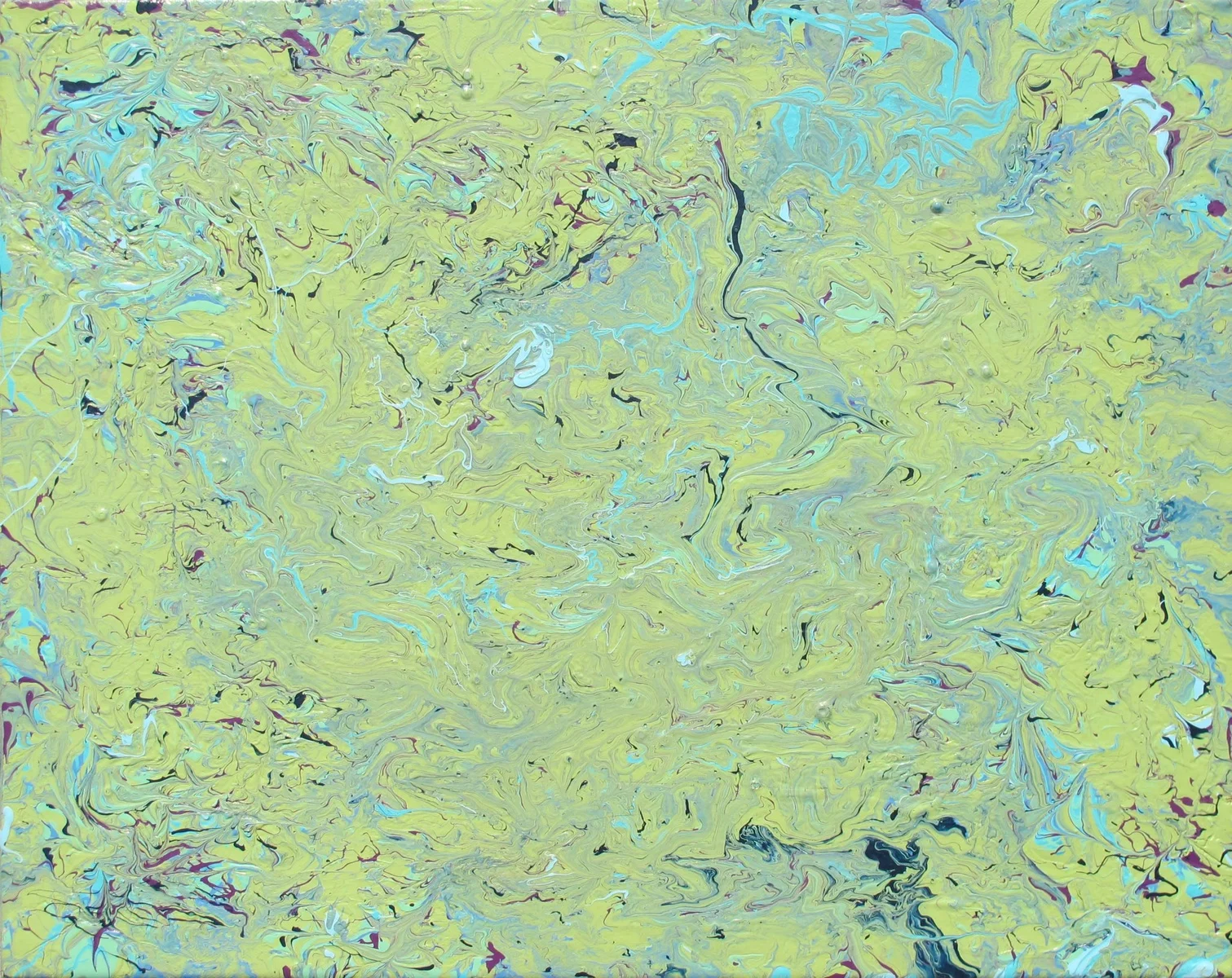 Slime Mold/Fluid Acrylic on Canvas/2012 SOLD