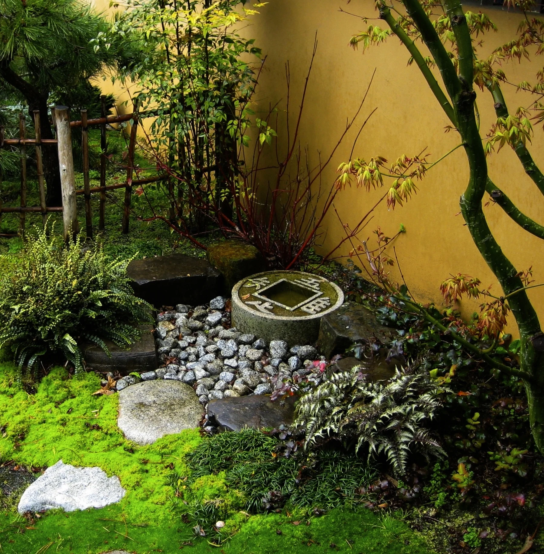green gulch zen centerjon dobrin 037.jpg