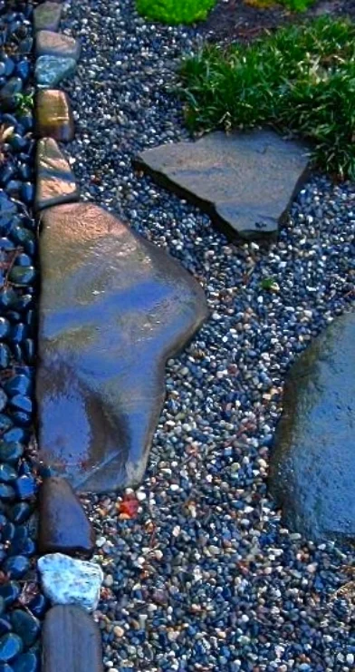 path.transition - Version 2.JPG