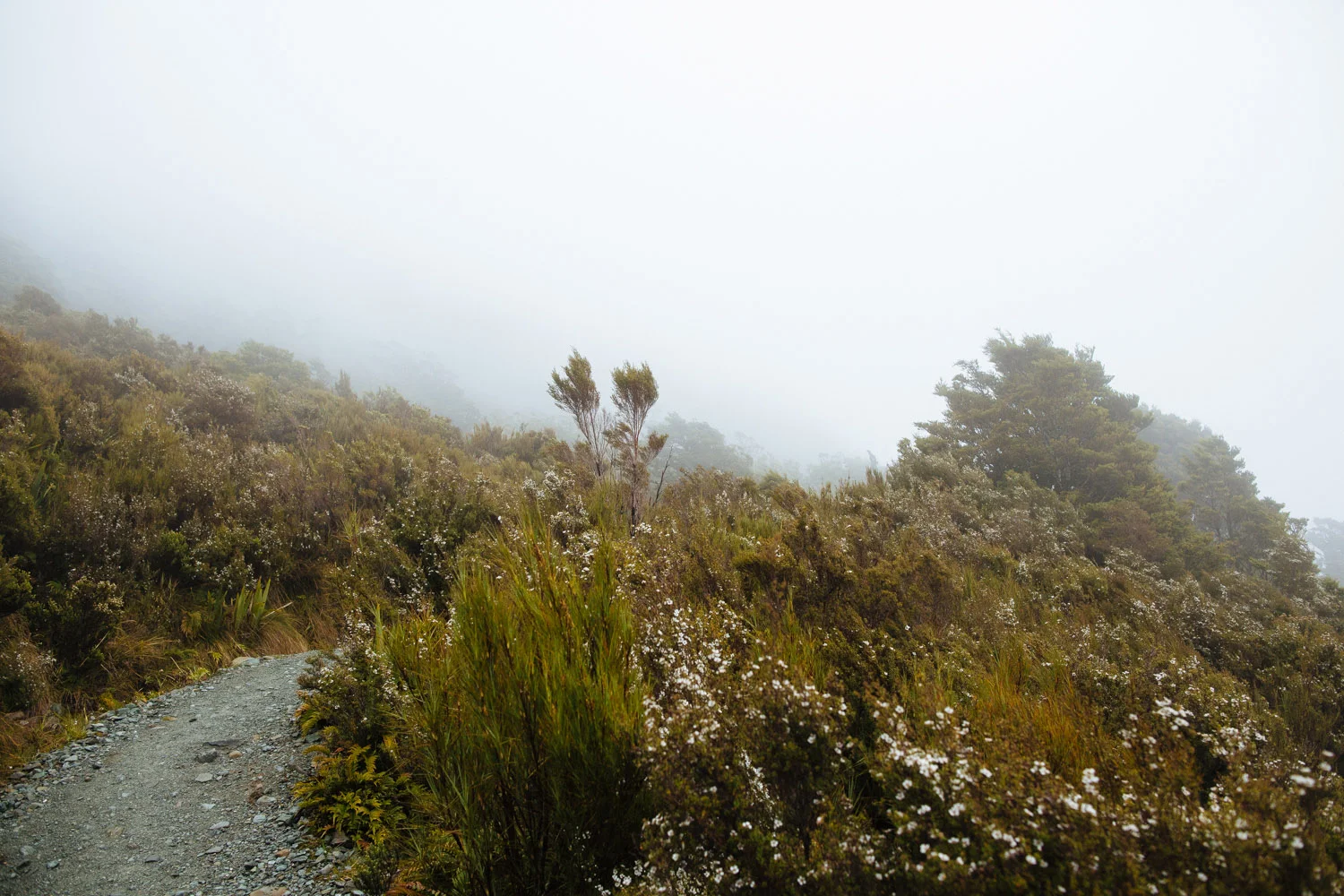 new-zealand-travel-photography-400.jpg