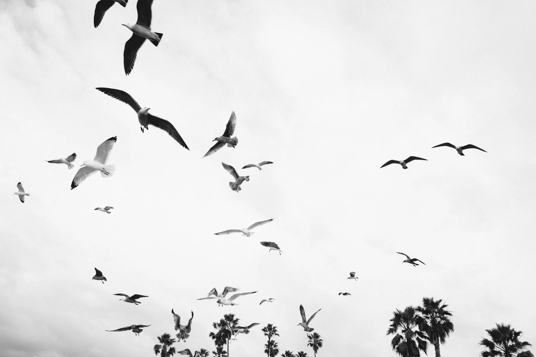 todos-santos-baja-california-63.jpg