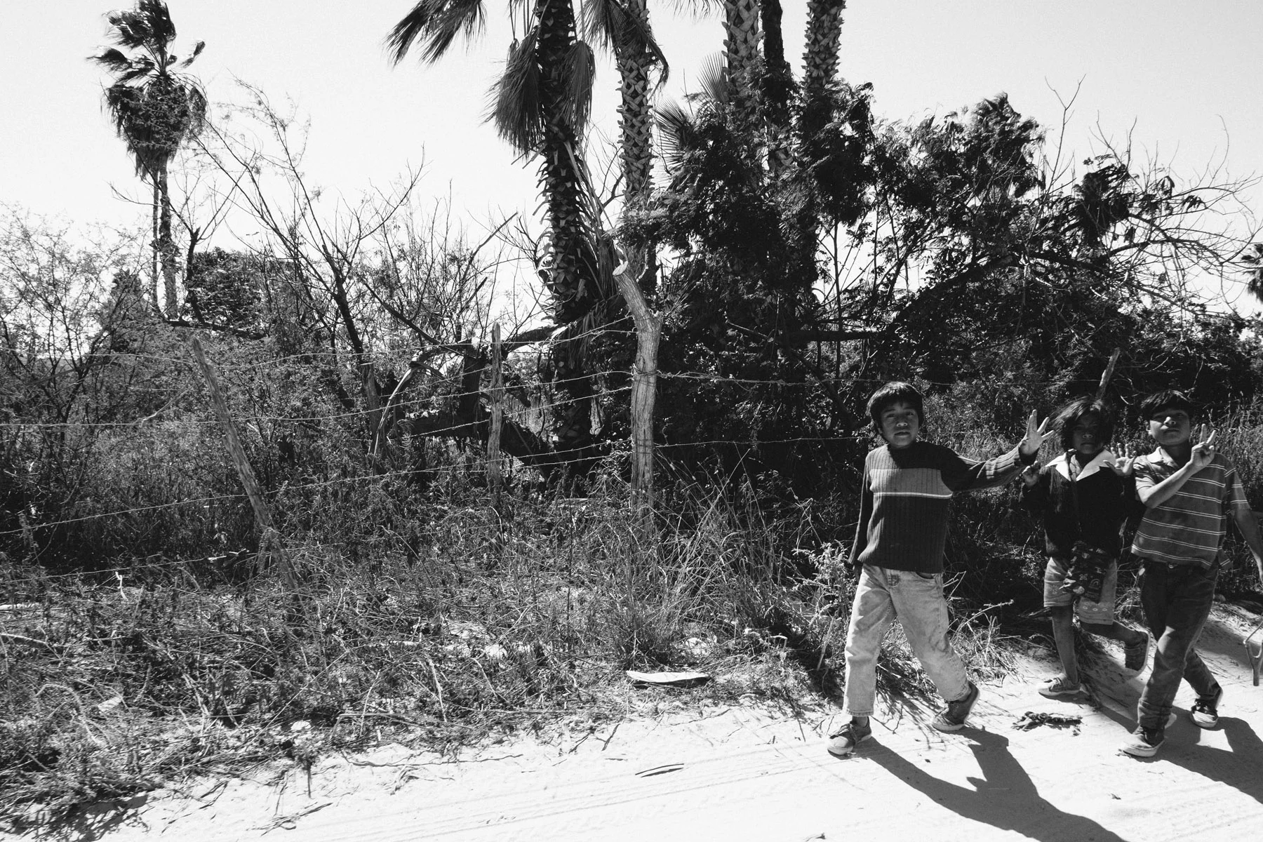 todos-santos-baja-california-140.jpg
