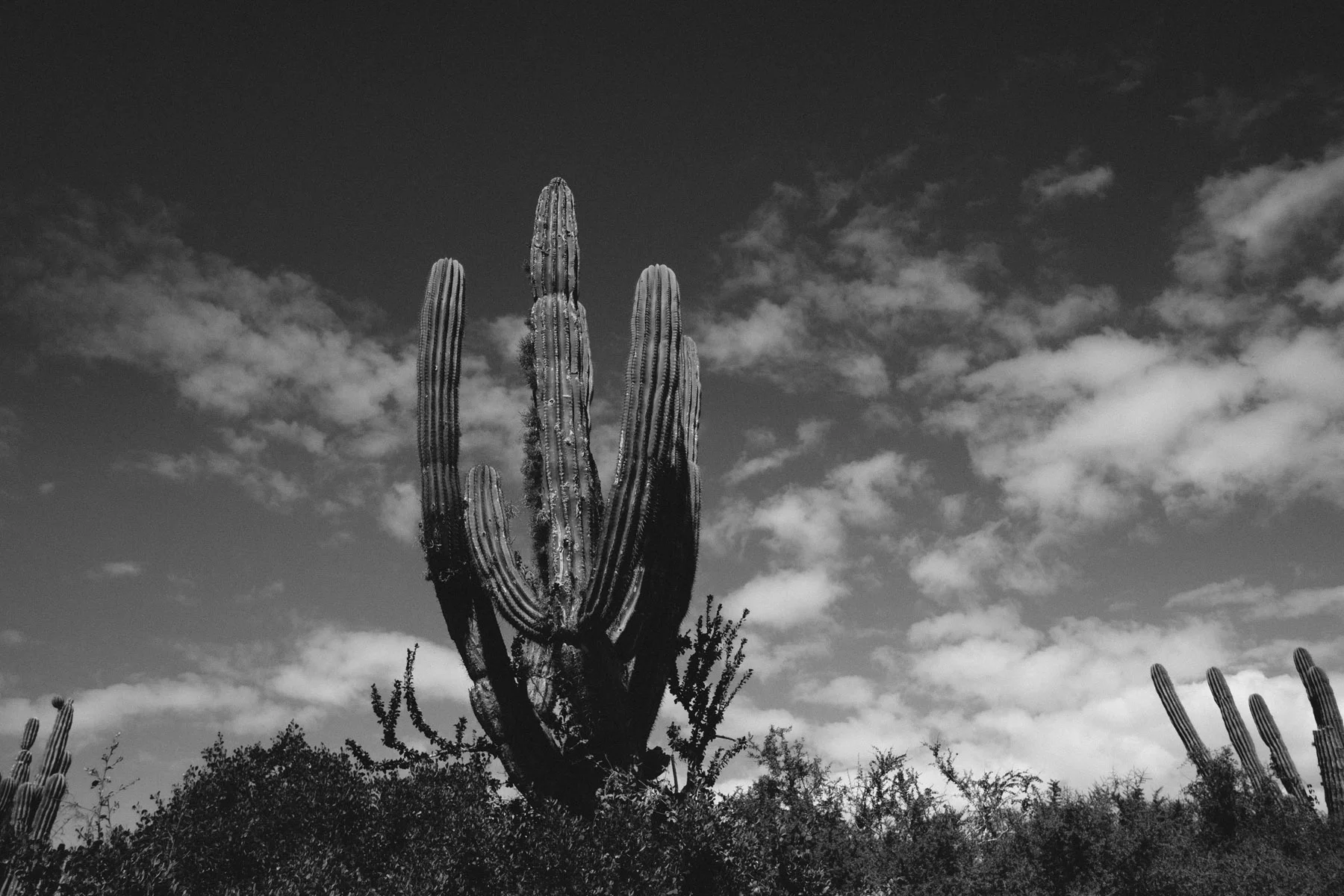 todos-santos-baja-california-284.jpg