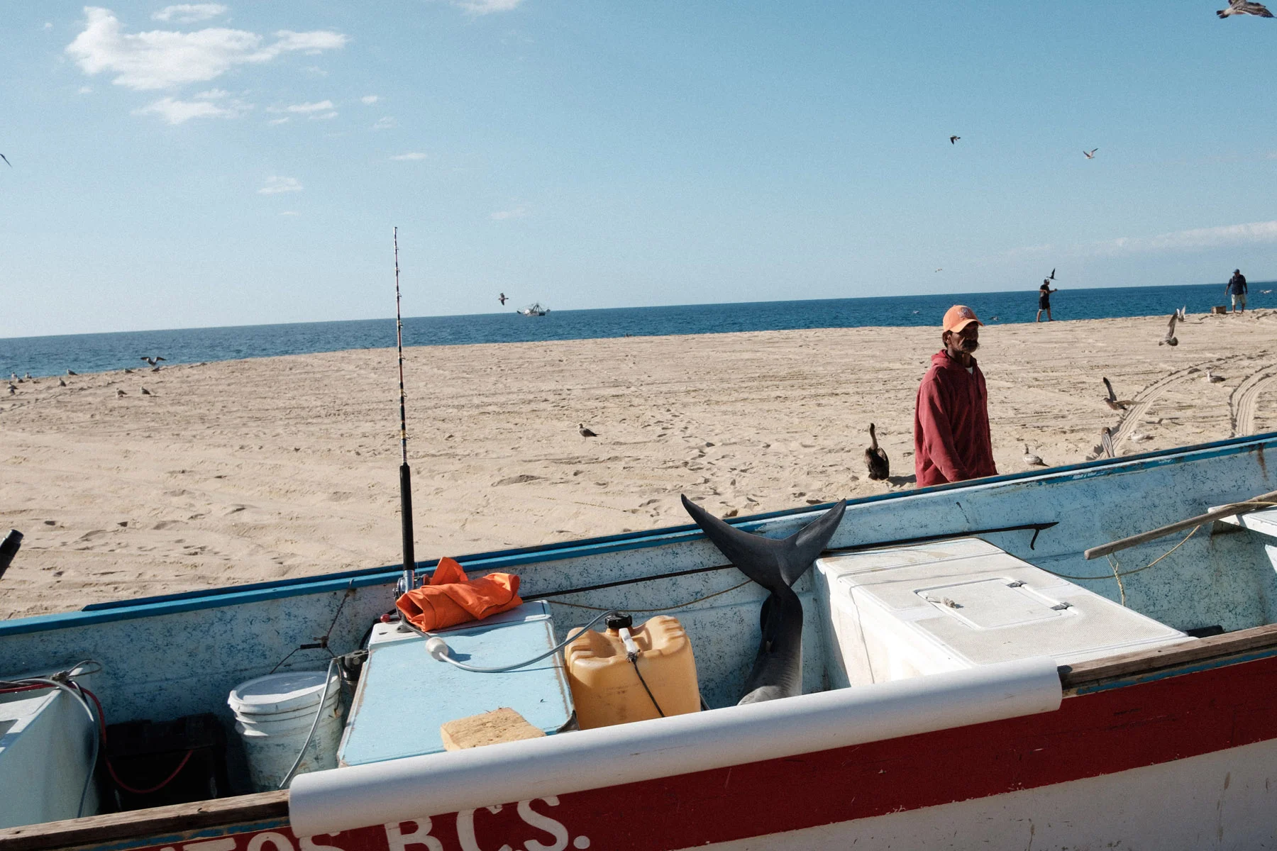 todos-santos-baja-california-315.jpg