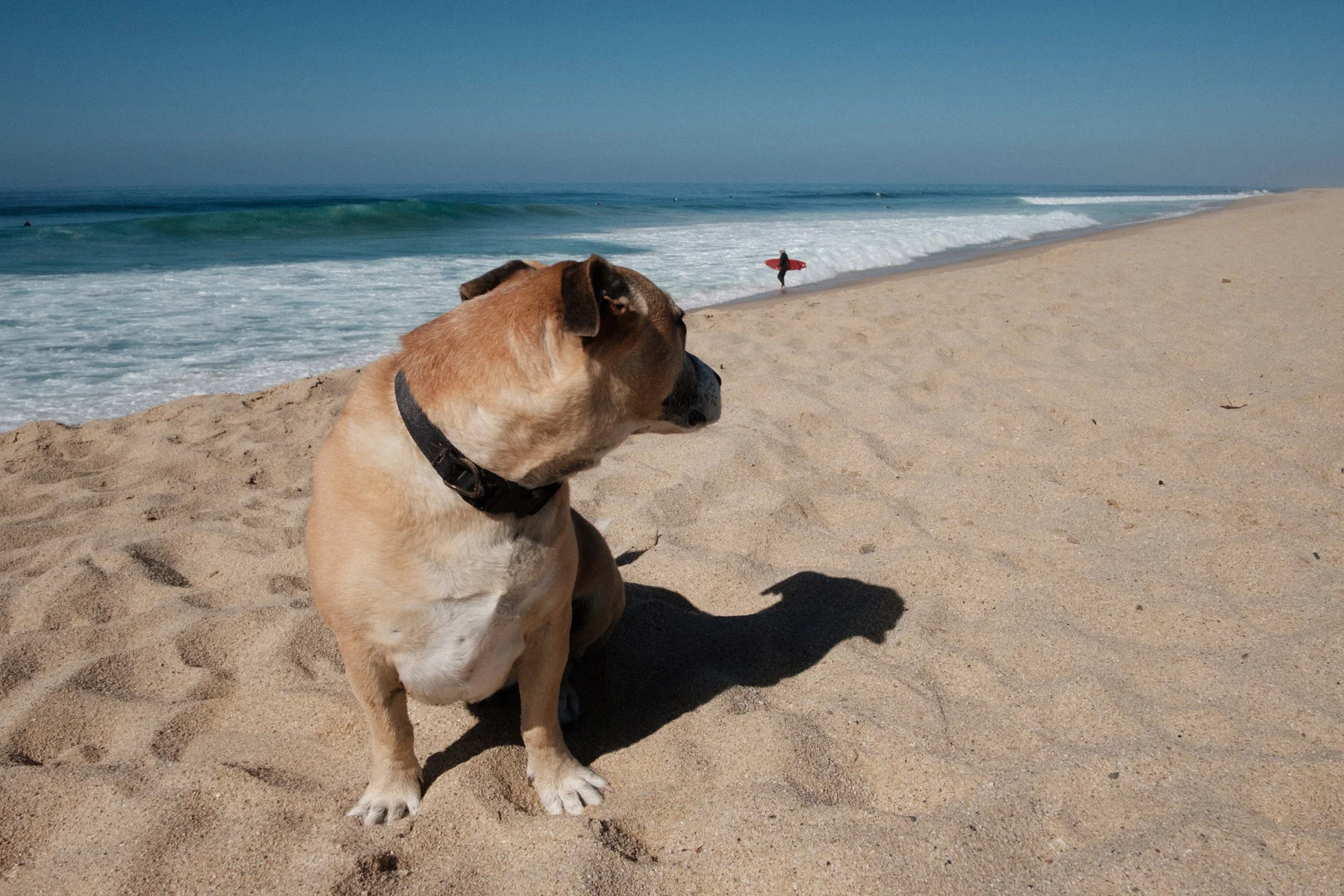 todos-santos-baja-california-367.jpg