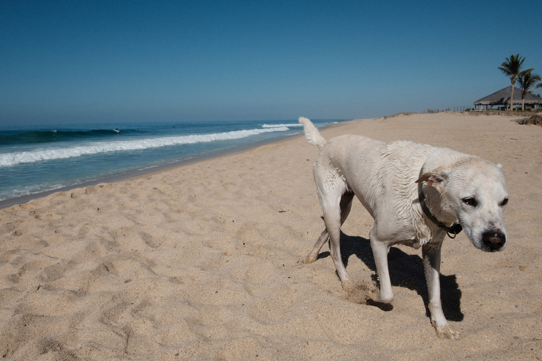 todos-santos-baja-california-368.jpg