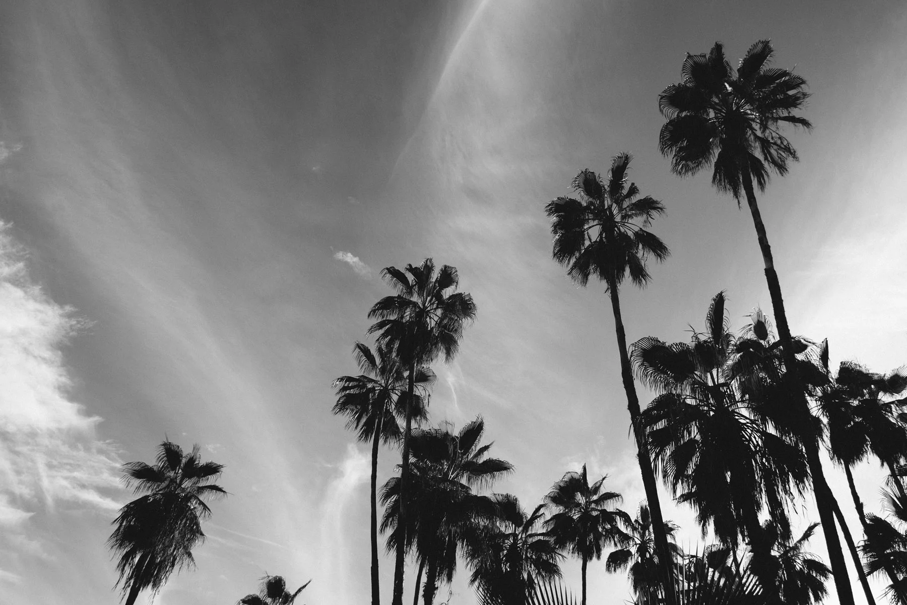todos-santos-baja-california-433.jpg