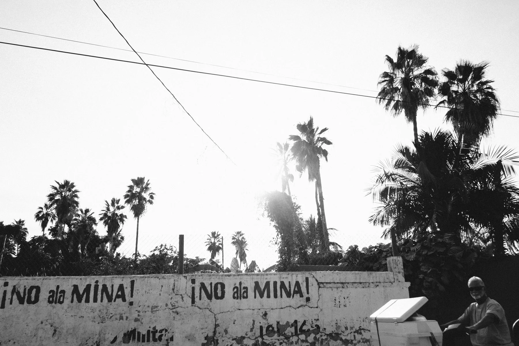 todos-santos-baja-california-560.jpg