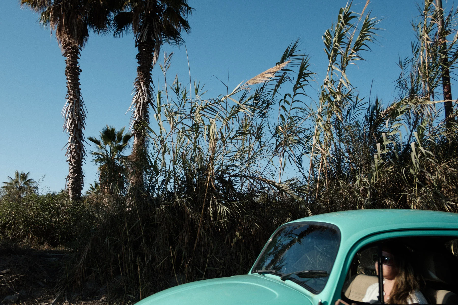 todos-santos-baja-california-773.jpg